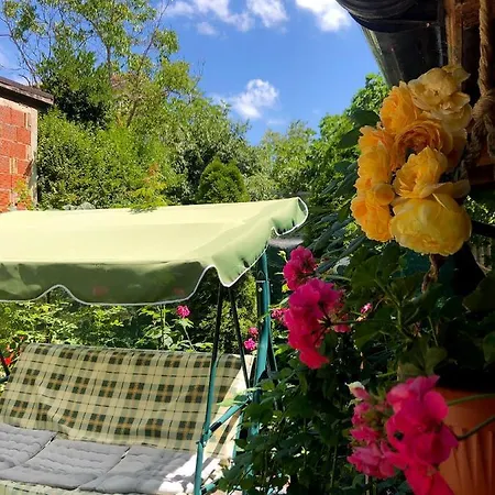 калоянови Гостьовий будинок Царево